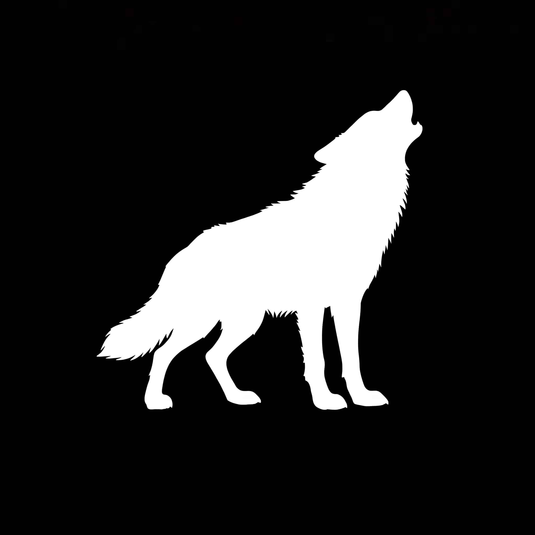 Wolfe